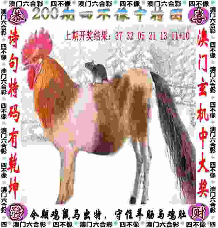 CBA球星周启新加盟 文一男篮志在夺冠